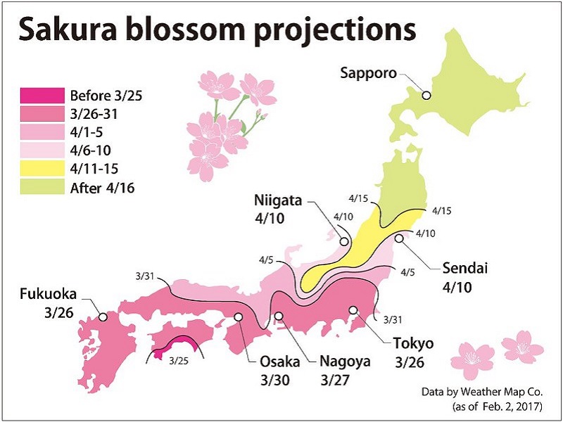 2017 Japan Cherry Blossom Forecast Japan Rail Pass Blog