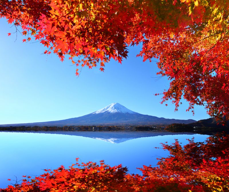Beautiful Fall Scenery In Japan Kyoto Autumn Leaves Top Viewing Spots