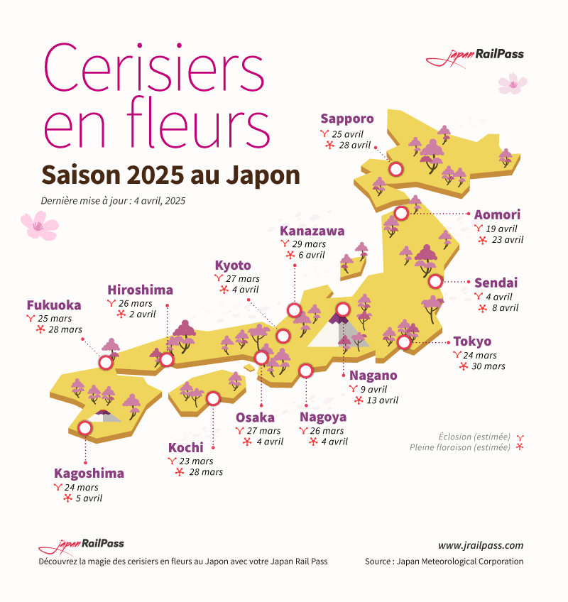 Floraison cerisisiers au Japon 2025 - Sakura