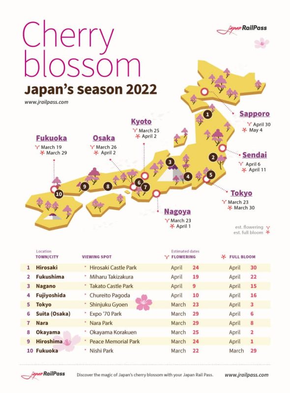 Fleur de cerisier 2022 Japon