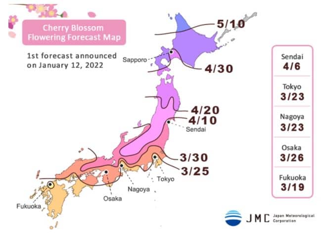 carte de prévision des fleurs de cerisier du japon 2022