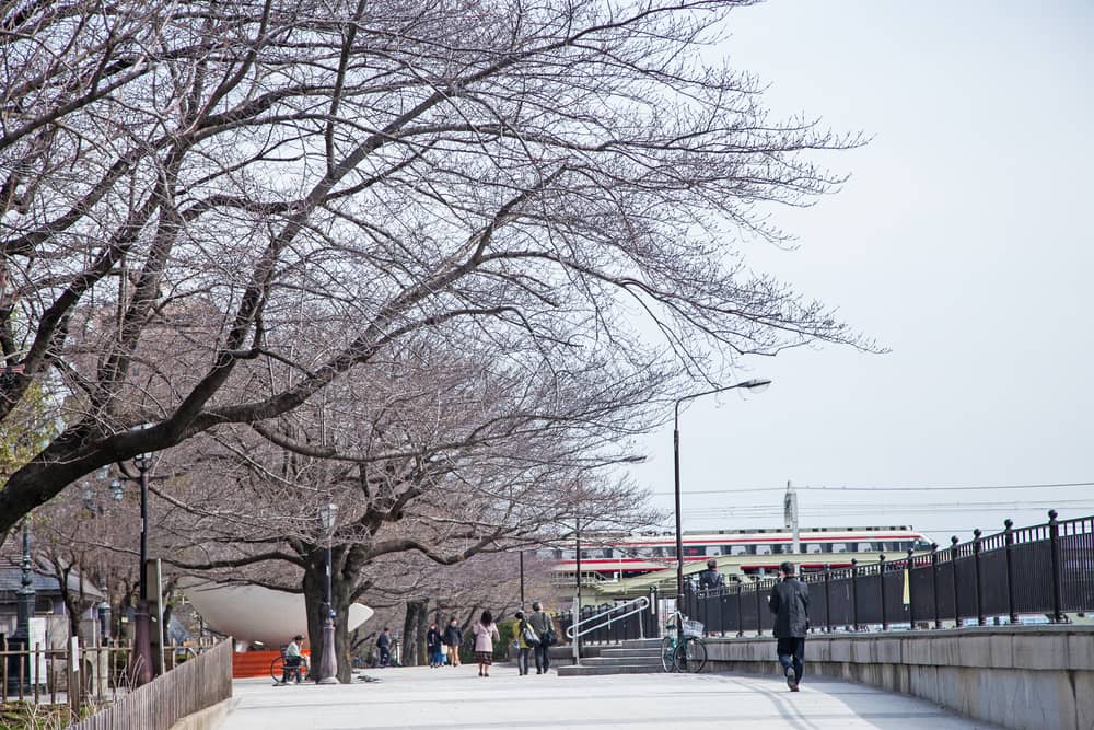 Estación de Kita-Senju: el cruce histórico de Tokio