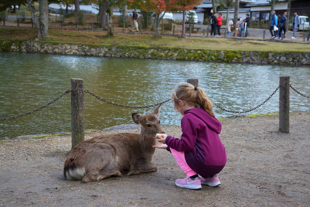 Conseils pratiques pour voyager au Japon avec des enfants