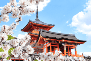 Buy your Kansai Wide Area Pass