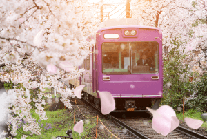 Japan Region für Region entdecken
