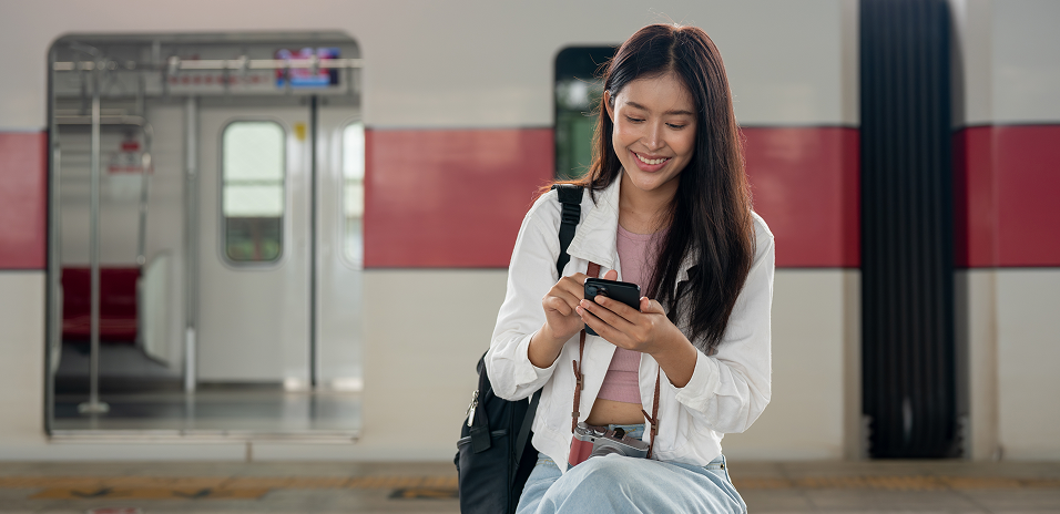 internet access in Japan with a Pocket WiFi