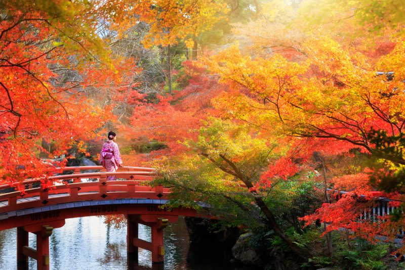 autumn-in-japan-brifge-hyoto-e1500977698186