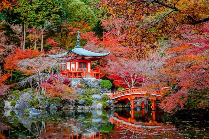 autumn-daigo-ji