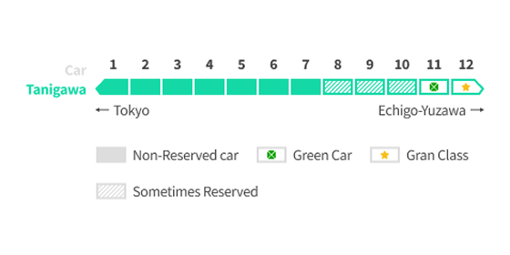 Tanigawa Shinkansen Seat reservation