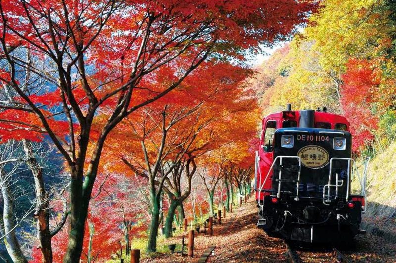 sagano-train-autumn-e1485856337992