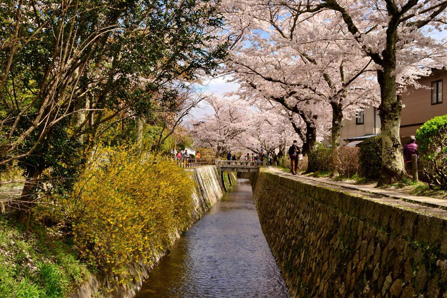 Philosopher's Walk